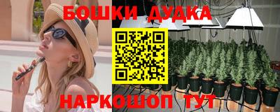 винт Шелехов