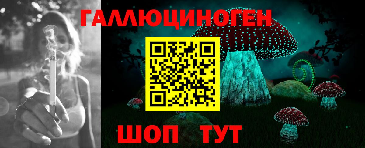 Галлюциногенные грибы Psilocybe Горячий Ключ